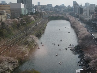 10階から新宿方面を撮ってみました。お堀の桜が水面に映えてきれい。
